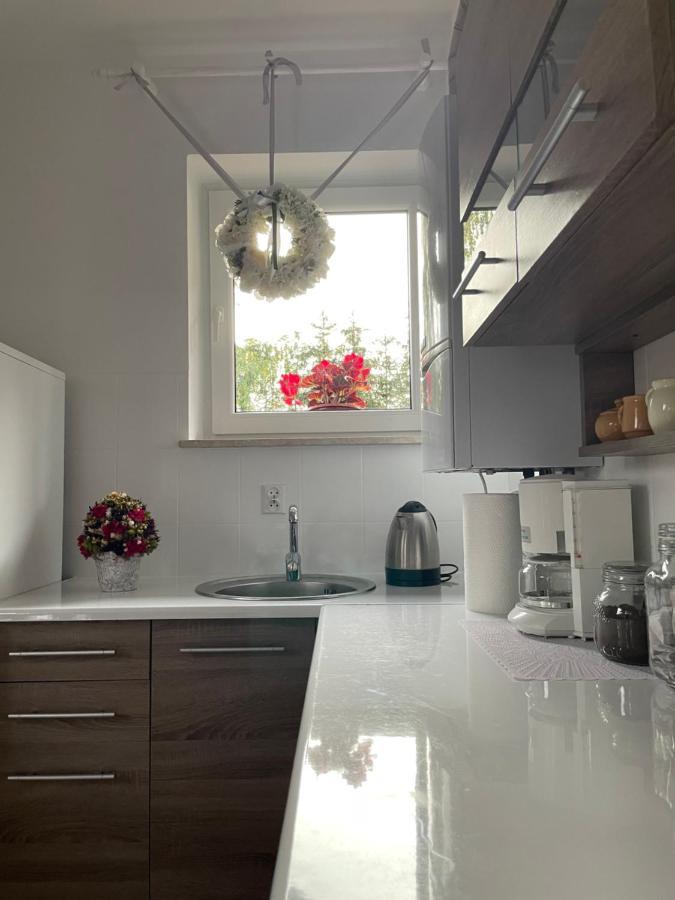 Apartamenty Zaczarowany Ogrod كاجيمير دولنه المظهر الخارجي الصورة